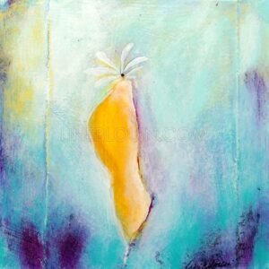 À fleur de peau no 21